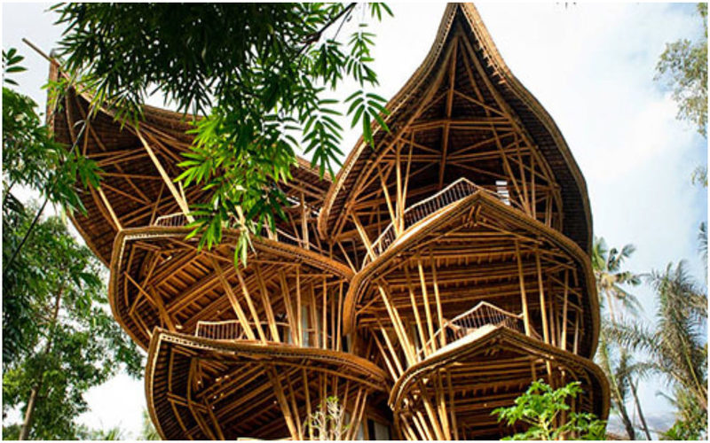 Conception d'une maison écologique-bambou